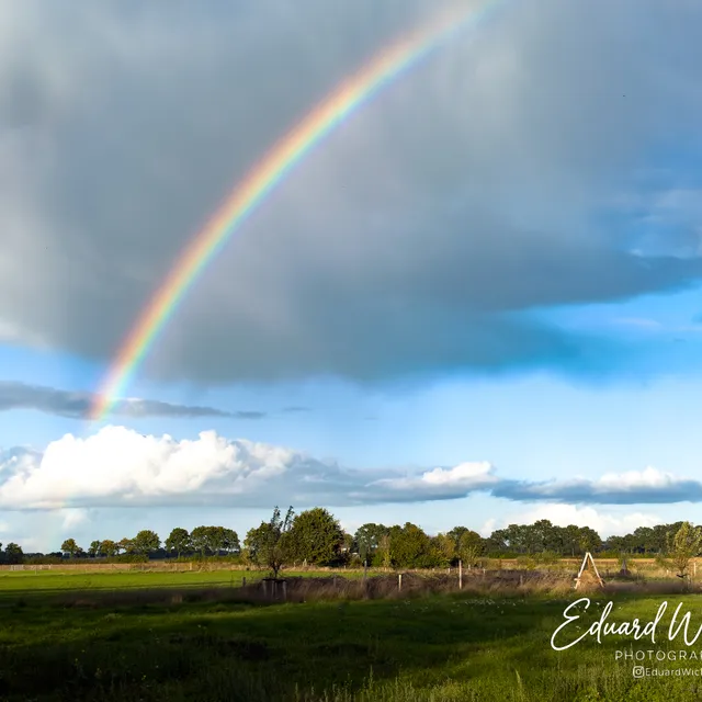 Regenboog boven het weiland