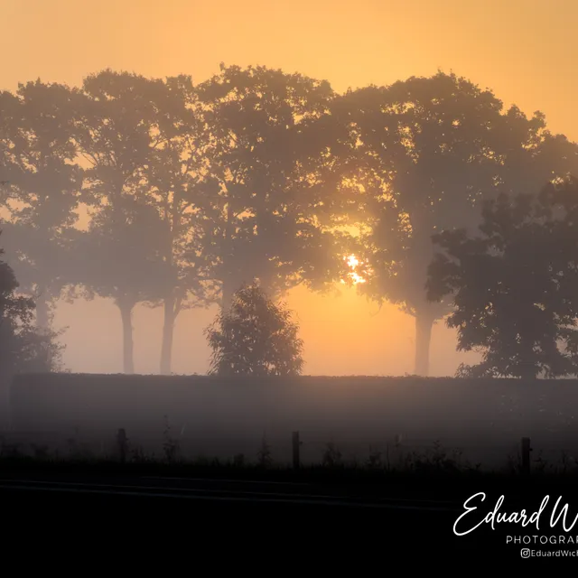 Heldere mistige ochtend met lage zon