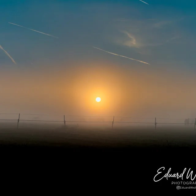 Zon met lichtkrans boven mistig weiland